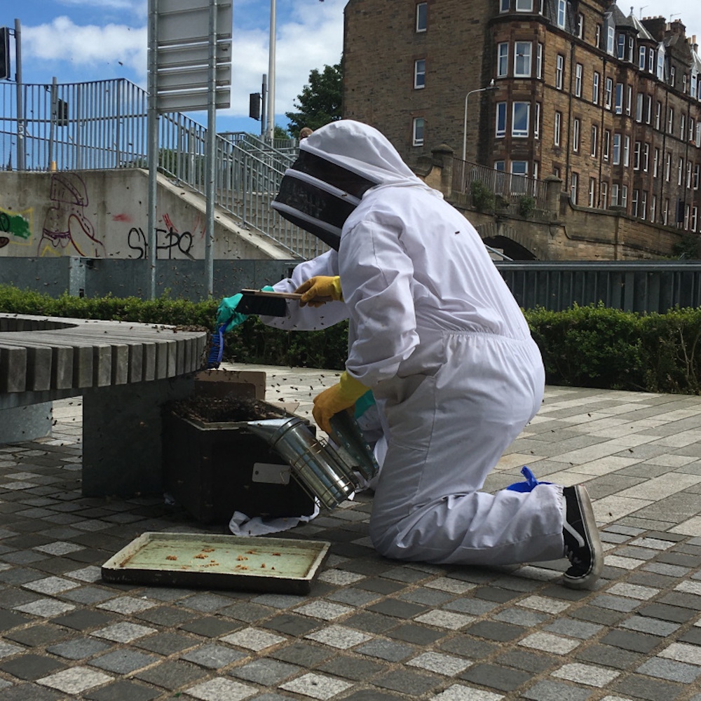 Two beekeepers dealing with a swarm