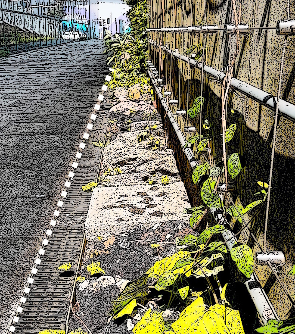 The sun throwing a shadow down the solar